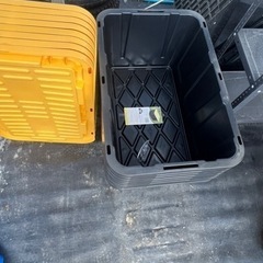 メダカ　容器　収納ケース