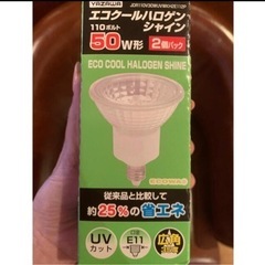 電球　エコクールハロゲンシャイン　2個パック