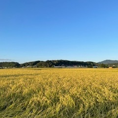 令和5年度　福島県産　コシヒカリ（玄米30kg）
