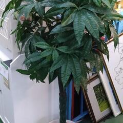 観葉植物（造花）高さ約160cm