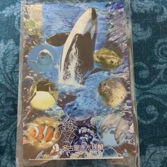 名古屋港水族館でもらったシャチのポストカードとシール