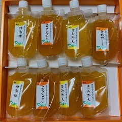 みかん🍊　ちゅうちゅうゼリー８個セット