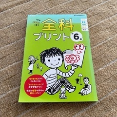 前科プリント6年