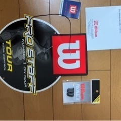 Wilson pro staff St. Vincent Process