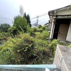 富山県黒部市で樹木の伐採やDIYを手伝ってくれる方募集！