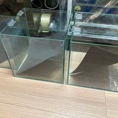 ガラス水槽　25cmキューブ2つ　