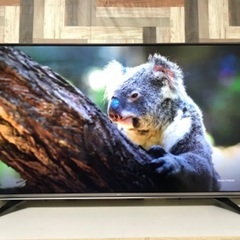 即日受渡❣️60型4k液晶TV  Wチューナー YouTube視...