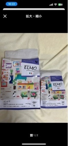 ELMOアダルトインドア