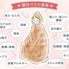 漢方よもぎ蒸し✴︎耳ツボ　サロン - 美容