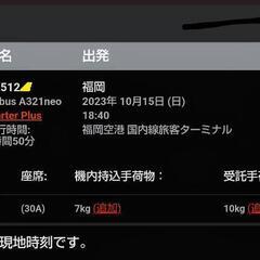 【ネット決済・配送可】福岡発成田行き10月16日18時40発ジェ...