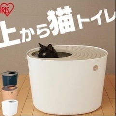 🉐　猫トイレ　🉐