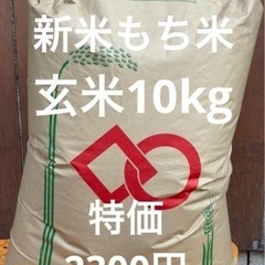 鳥取産大前さん令和５年新米もち米玄米10kg