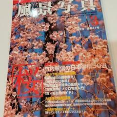 風景写真　桜　3月号