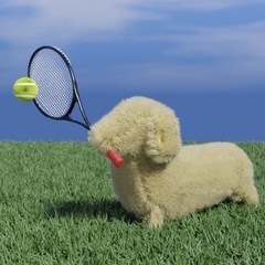 🐶水戸市で硬式テニスしたい方募集[初〜中級]🐶