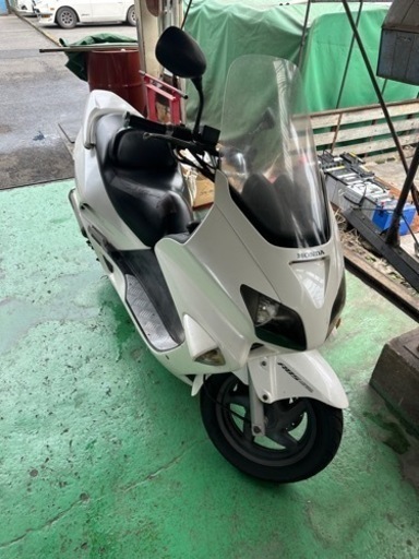 フォルツァ　m06