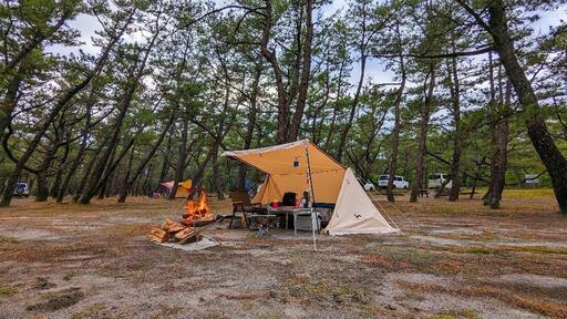 TOMOUNT パップテント 新品】TOMOUNT パップテント TCコットン