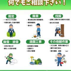 毛虫発生してませんか⁉️