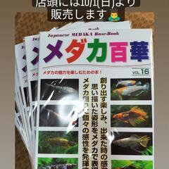 【最新】メダカ百華16入荷‼️♢名古屋改良めだか直売所♢10/1...