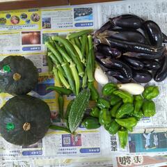 カボチャ2個と新鮮野菜のセット