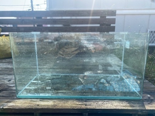 90センチ水槽
