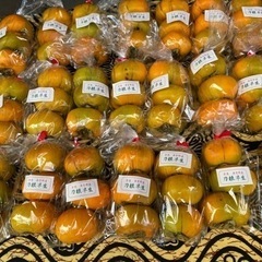 奈良県西吉野産の柿販売