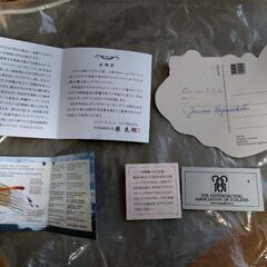 【新品】ハンドニット ブルゾン　本場アイスランド産