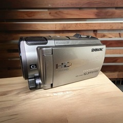 SONY ソニー ハンディカム ビデオカメラ HDR-CX560...