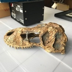 恐竜の頭蓋骨オブジェ