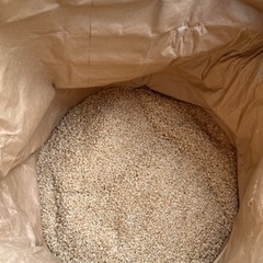 【お米】彩のかがやき30kg（令和4年、玄米）（4）