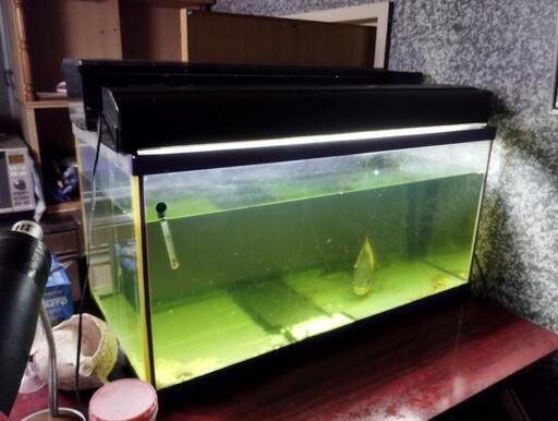 水槽セット・整体込み。