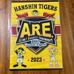 阪神タイガース2023年クリアファイル！未開封です✨