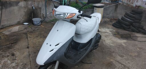 ⭐ホンダライブディオZXタイプ　白　AF35　外装新品　羽根付き　オイル継ぎ足しタイプ