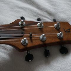 Yokoyama Guitars Leaf-Quiet CM-Nylon