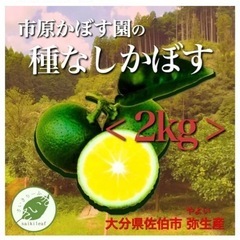 種無しカボス！大好評販売中！予約発送受付中！