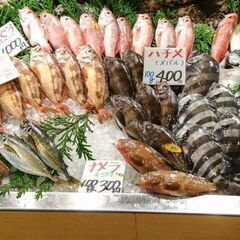 三枚おろしなどお魚の調理スタッフ☆彡日払い・週払いOK - 飲食