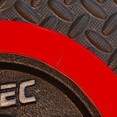 ※セット価格※ i ROTECバーベル（計50kg） & i ROTEC & FLYBIRD 3WAYベンチ　トレーニングダンベルバーベル