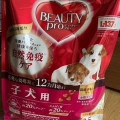 子犬用　ビューティープロ