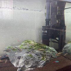 60cm水槽＆水槽台と外部フィルター、水槽用照明等一式セット