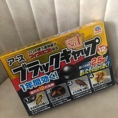 お取引き中ブラックキャップ　12個入