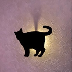猫ライト