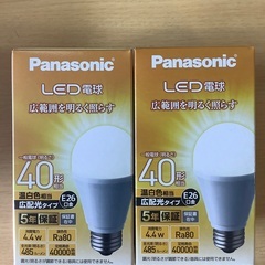 LED電球2(2個セット)