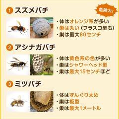 🐝駆除、🗝、バッテリーチャージ