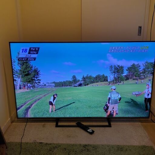 65V型4K液晶テレビ/ネット動画HISENSE 65S6E