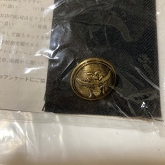 鎌ヶ谷西高校　男子制服のボタン