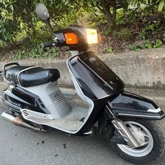 売れました！ 動画有り YAMAHA シグナス 125 原付2種...