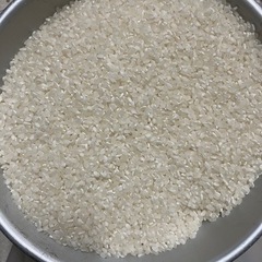令和5年新米加茂市コシヒカリ玄米30kg
