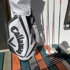 メンズゴルフクラブ11本セット