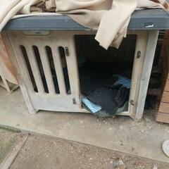 大型犬用  犬小屋