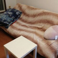 ソファベッド(幅大体170cmくらい、3人座れて2人寝れるサイズです)
