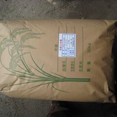 令和５年度産　コシヒカリ　玄米　３０Kg　１袋    値下げしま...